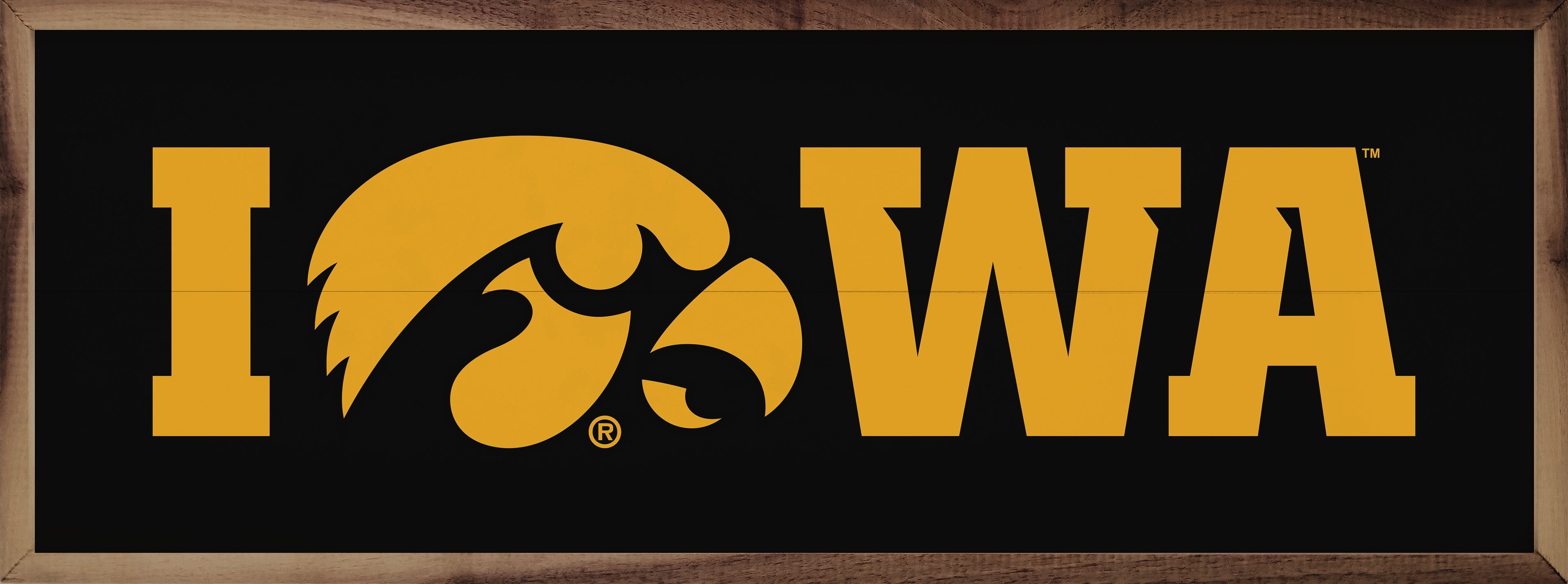 Horizontal Logo University Of Iowa