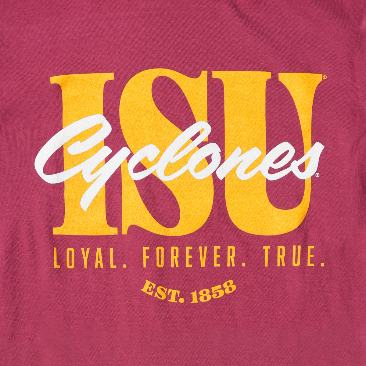Iowa State University Classic Type T-Shirt